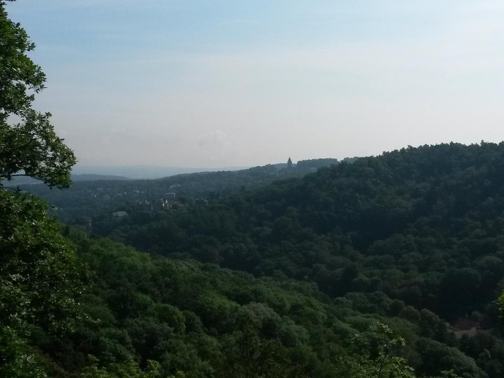 Villa Weitblick Eisenach Dış mekan fotoğraf