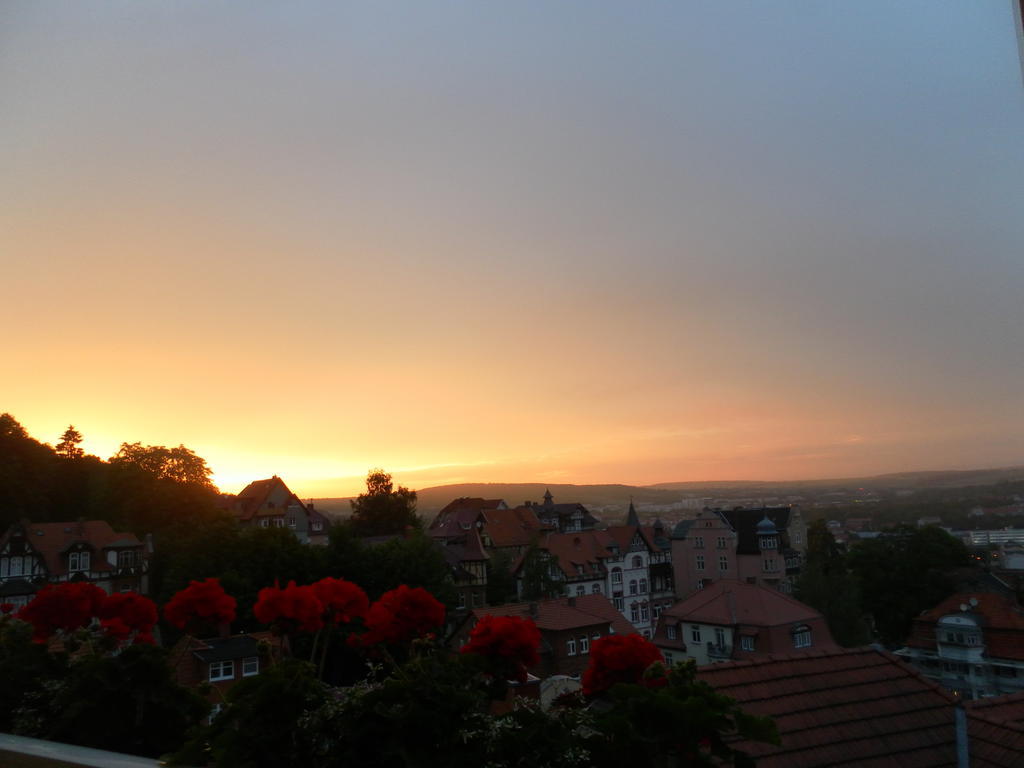 Villa Weitblick Eisenach Oda fotoğraf